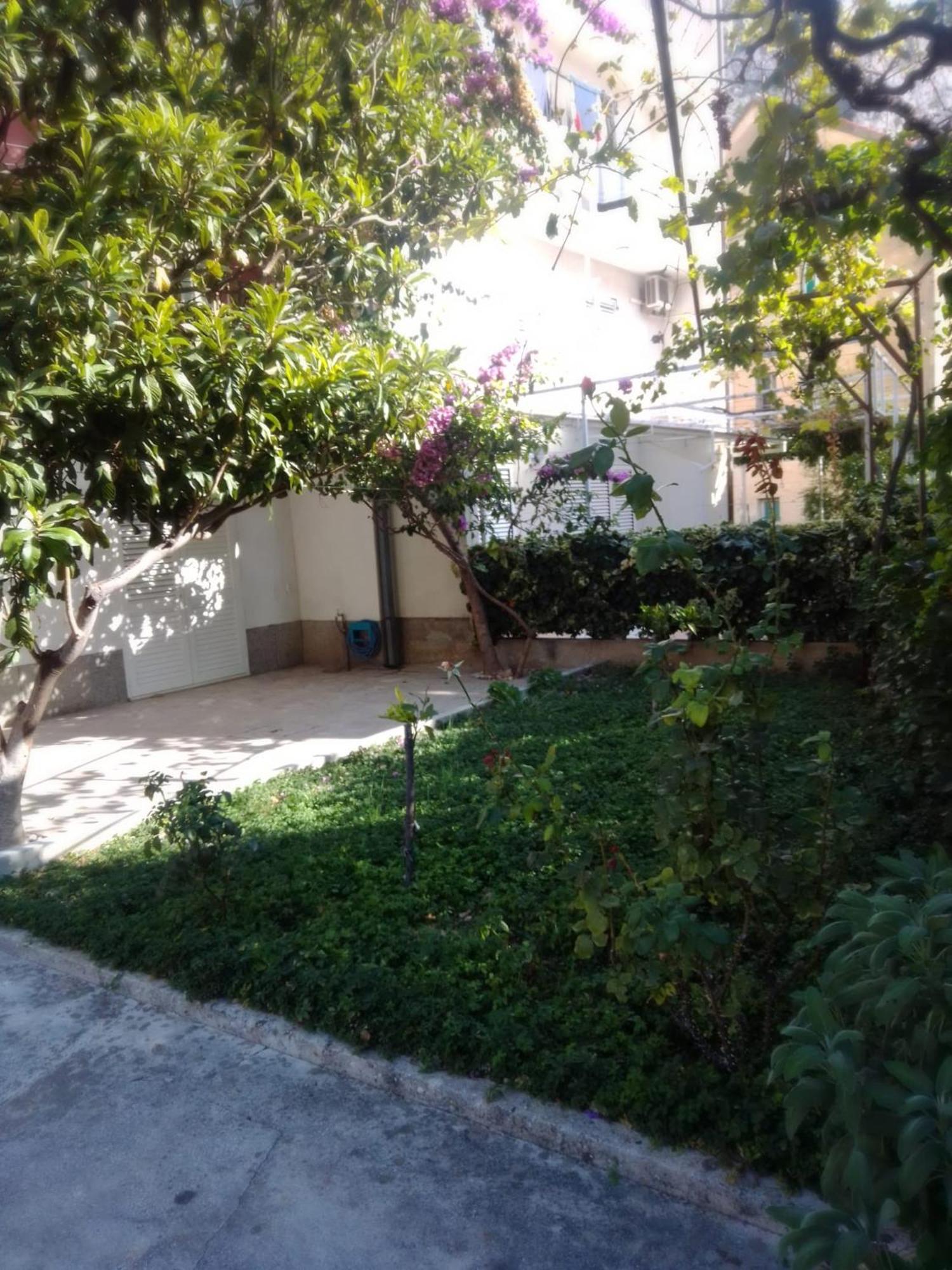 Apartment Andelka Omiš Exteriör bild