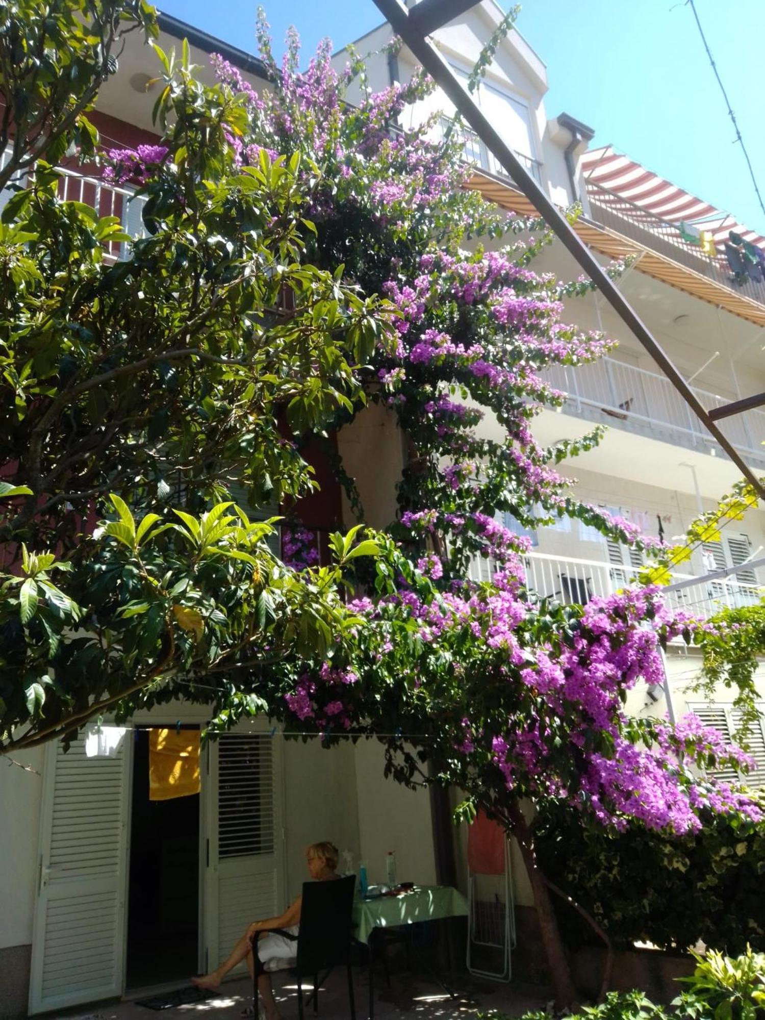 Apartment Andelka Omiš Exteriör bild